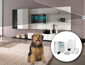 How To Make Your Home Security System Pet-Friendly